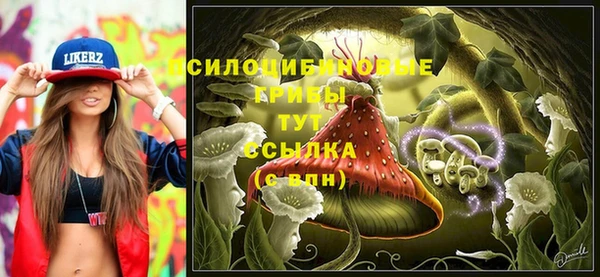 таблы Алзамай